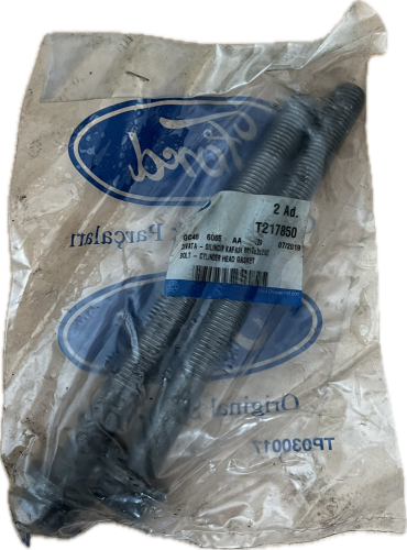 FORD ŠROUB HLAVY VÁLCE GC466065AAN, GC46 6065 AA N, T217850
