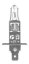 DAF, MAN, IVECO, MERCEDES, VOLVO, SETRA, RENAULT, NEOPLAN, IRISBUS, SCANIA ŽÁROVKA H1 24V 70W P14,5S, N466